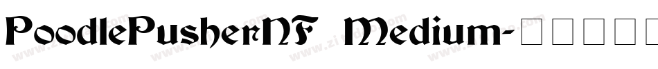 PoodlePusherNF Medium字体转换